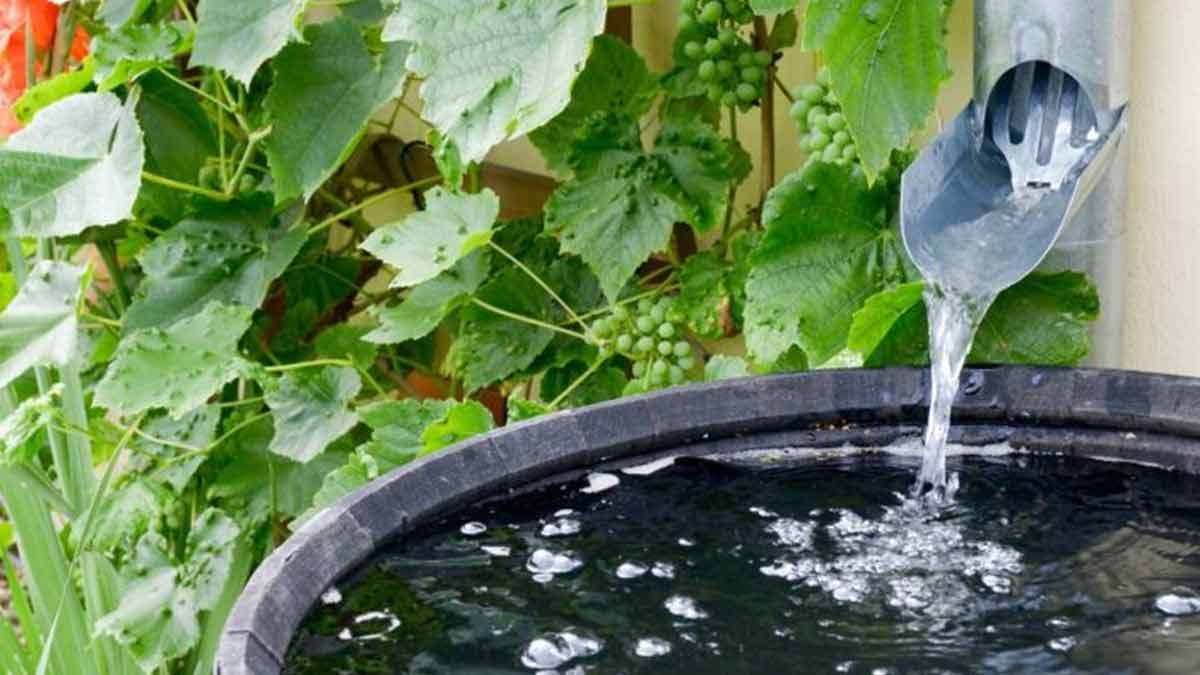 Regentonne vor Frost schützen